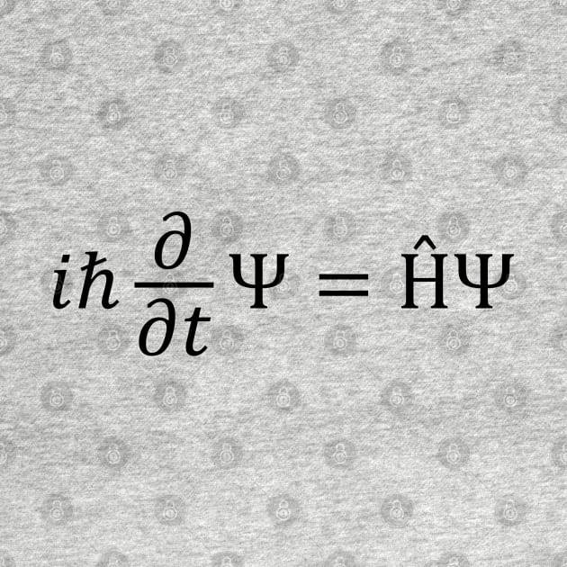 the Schrödinger Equation by ScienceCorner